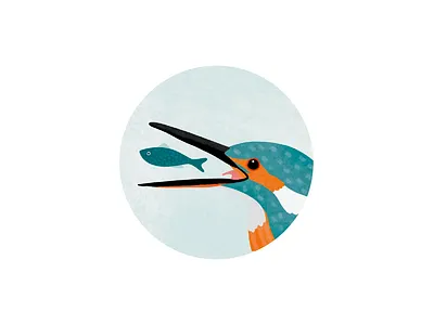 Illustration for Kingfisher Wildlife Book book layout illustration nature wildlife