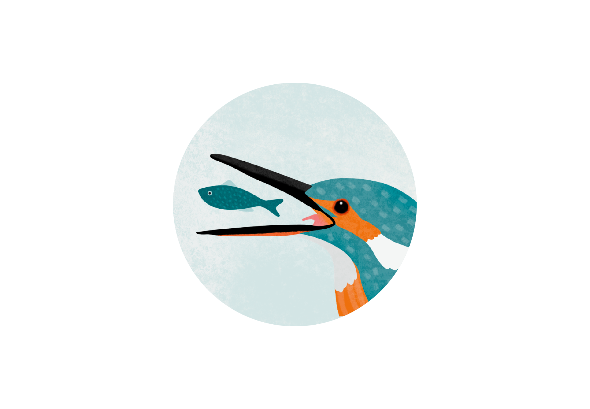 Illustration for Kingfisher Wildlife Book