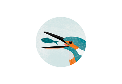 Illustration for Kingfisher Wildlife Book book layout illustration nature wildlife
