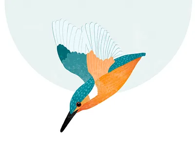 Kingfisher Illustration for Wildlife Book birds book illustration kingfisher palette wildlife