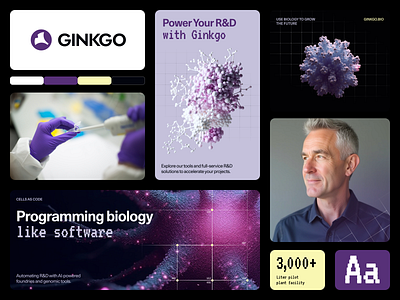 Ginkgo AI Branding Concept brand brand guidelines brand identity branding business graphic design halo lab identity logo logo design logotype packaging startup visual identity