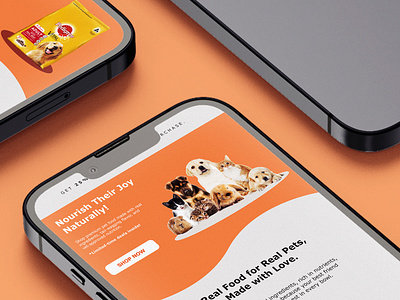 Pet Food Promotion Design (Email Newsletter Project) app branding design graphic design illustration logo typography ui ux vector
