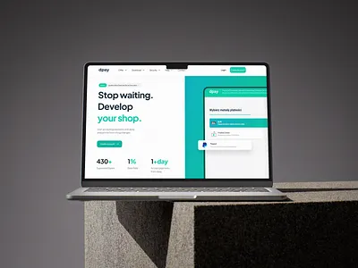 Website Dpay.pl - Payment green payment paypal polonia ui design web design