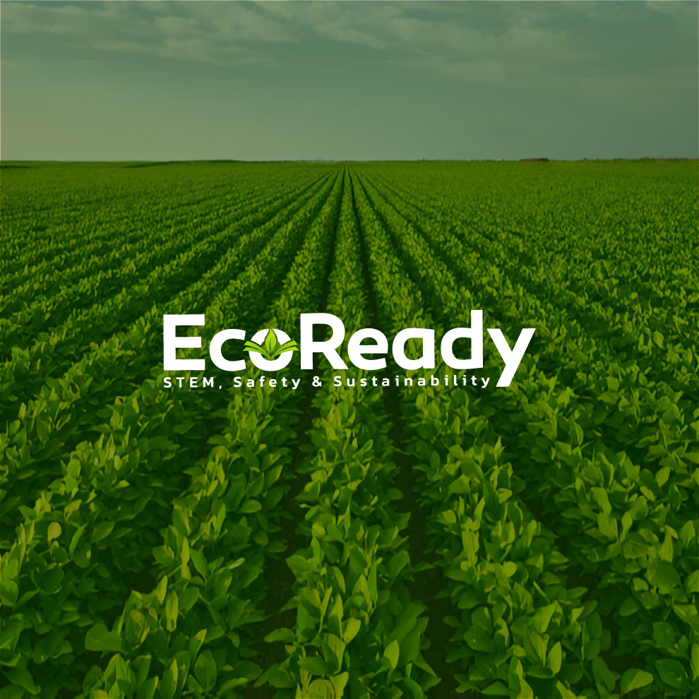 Echo Ready Natural Logo Design branding custom logo eco brand eco branding eco logo green logo icon logo letter logo lettering logo logo design logo designer modern logo natural logo nature nature logo