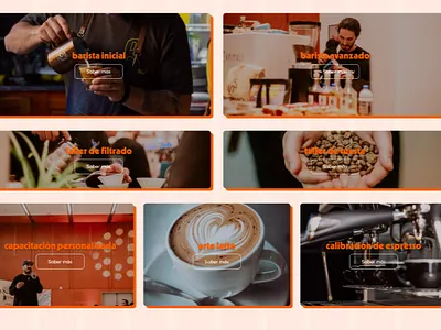 Barista Training Courses app barista graphic design portfolio ui webapp