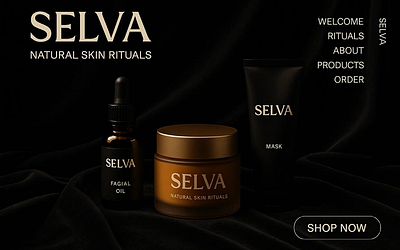 Branding & Product Design, Shopify branding gold figma product design ui design visual identity web