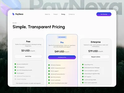 PayNexa - Pricing Page clean design landing page minimalist payment gateway paynexa ui design web design website design
