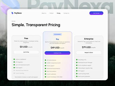 PayNexa - Pricing Page clean design landing page minimalist payment gateway paynexa ui design web design website design