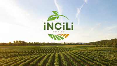 The İncili Çiftlik Branding Journey brand guideline branding farm branding farm logo incili incili çiftlik logo logo design
