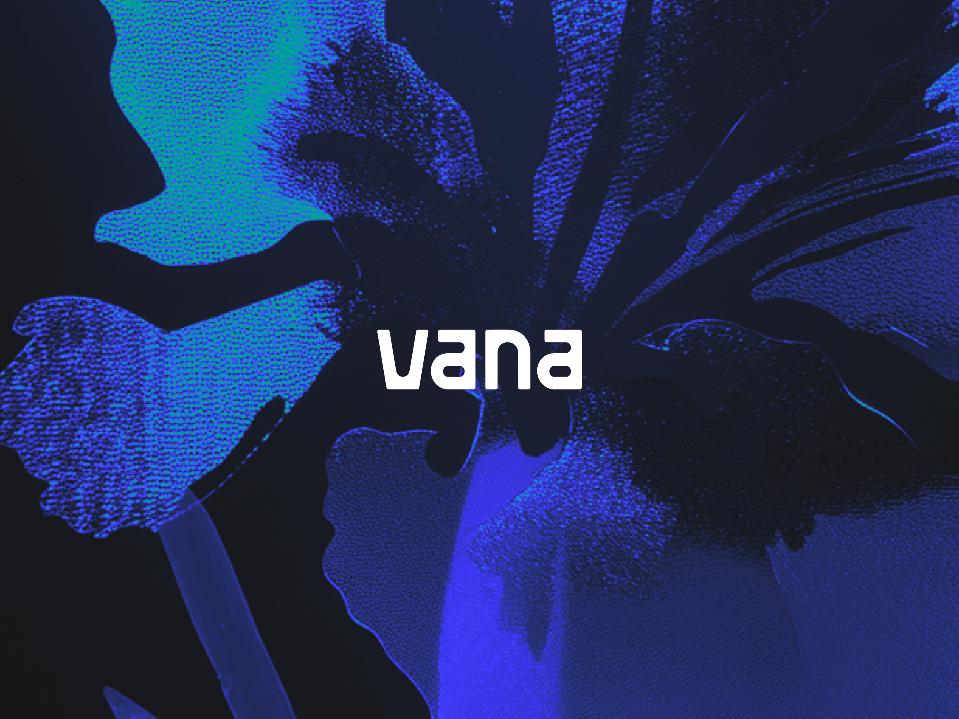 social media explainer for vana 2d animation animation motion graphics