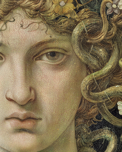 Medusa haunting beauty