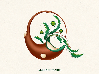 Q for Alphabetanics 36 days of type design floral graphic design illustration logo design procreate typography