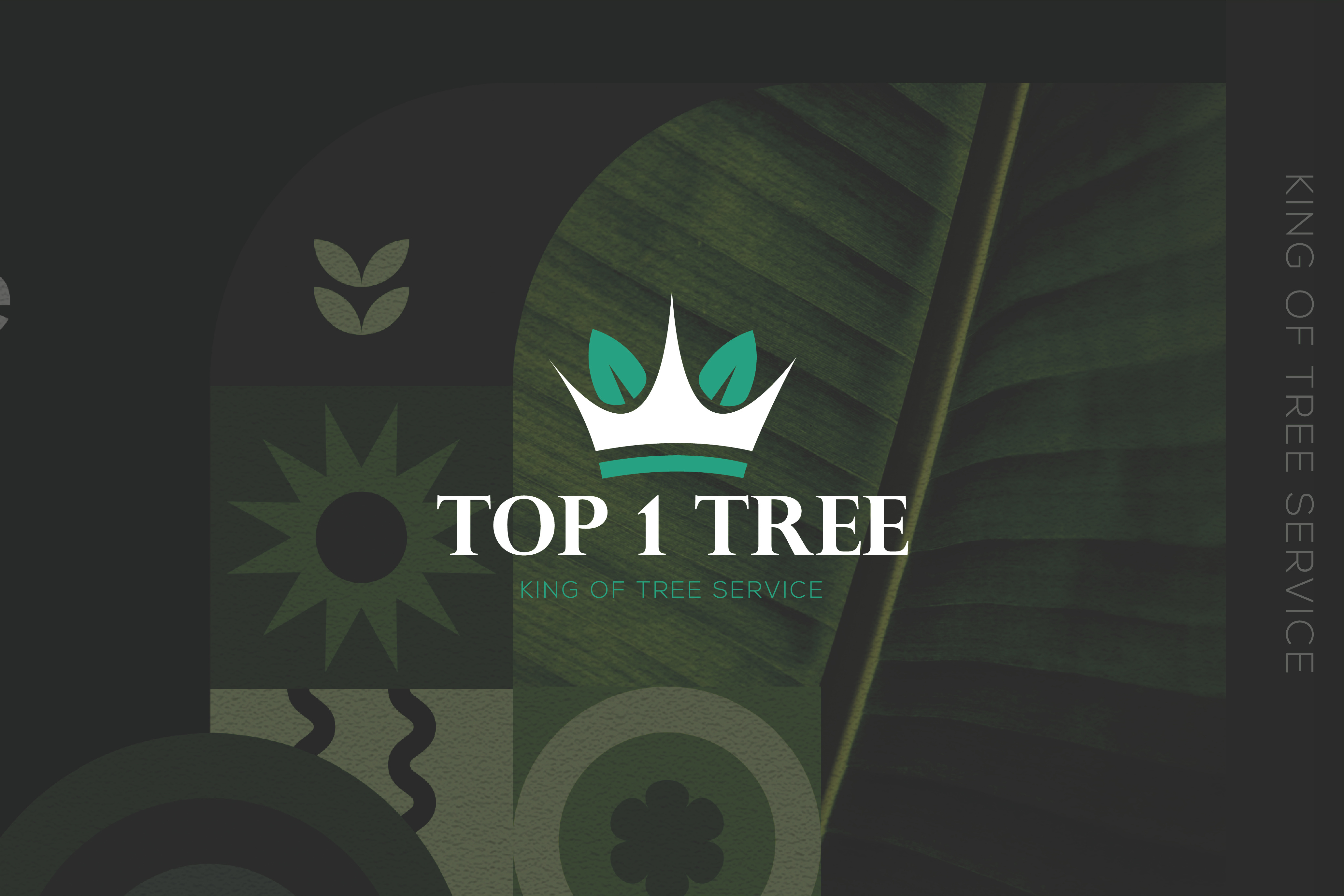 Nature and Organic Logo Design branding eco logo firm logo graphic design identity leaf logo logo logo design logo maker logos mark modern logo design monogram nature logo organic logo vector