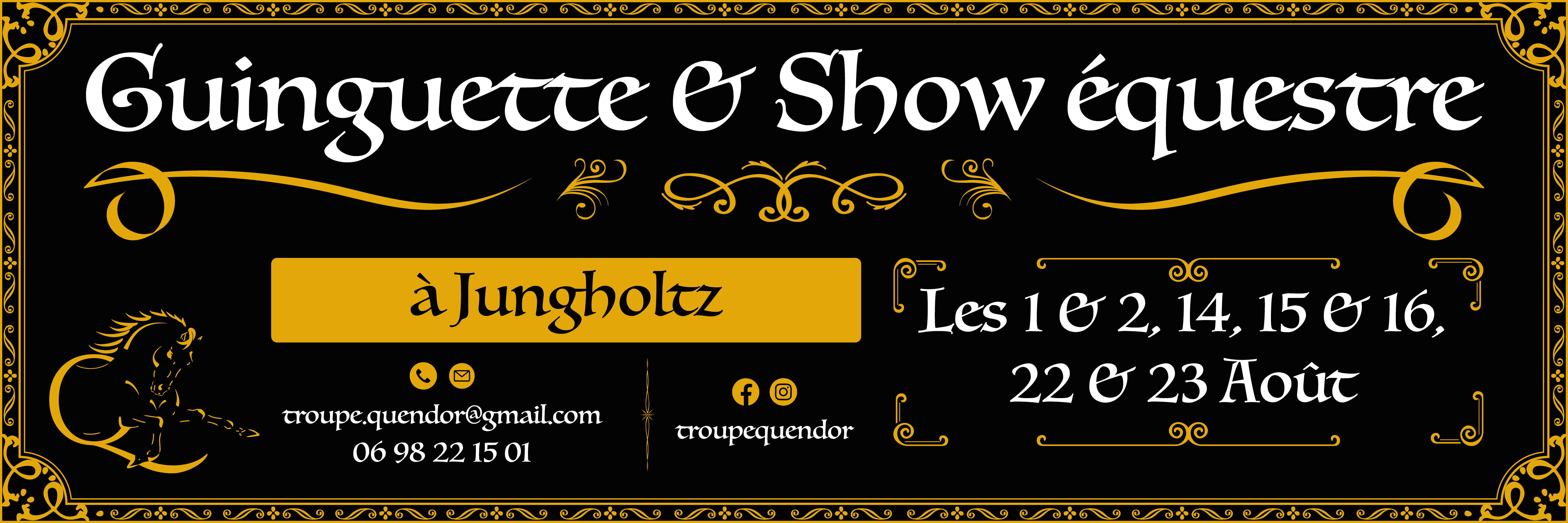 Création d'une banderole promotionnelle de leur futur show branding design graphic design typography vector