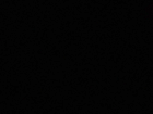 Example of Shot