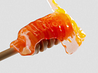 Example of Shot