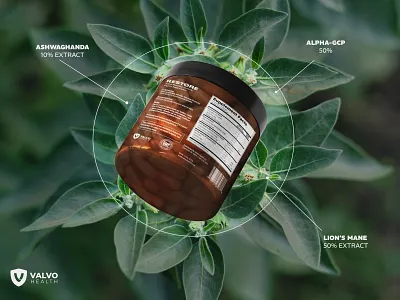 Restore - Recovery Supplement - Branding & Label Design brand narrative branding design graphic design illustration label label design packaging product supplement