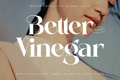 Better Vinegar Font Display branding display typeface font font elegant font family fonts handwritten lettering lettering type logo minimal retro sans serif sans stylish serif type typedesign typeface typography variable font