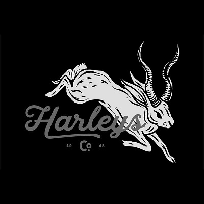 HARLEYS CO. boutique store graphic design logo design milwaukee rev pop