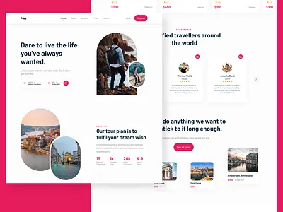Travel company website animation app azerbaijan baku branding design figma illustration logo ui ui ux design web design website design