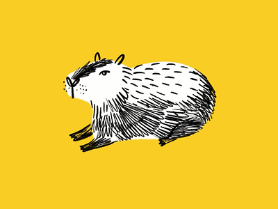 Capybara 🐀 animal capybara cute design doodle illo illustration quirky rodent sketch