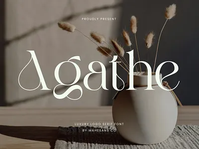 Agathe Typeface branding branding font design design font display display font elegant font font fonts illustration logo logo font logo type luxury font serif serif font type type design typeface ui