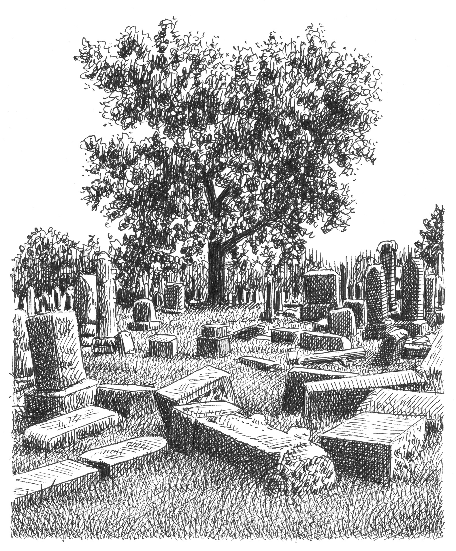 Wreckage art artist artwork drawing hand drawn illustration ink landscape tree