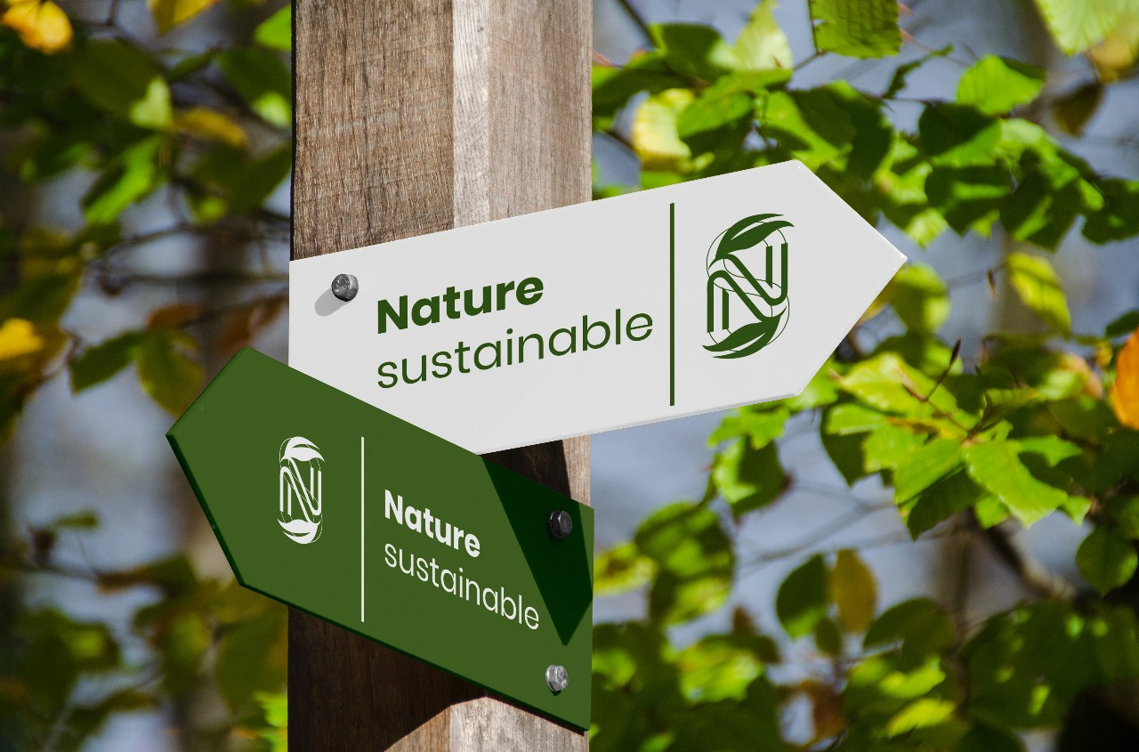 Example of Professional Custom Logo Design