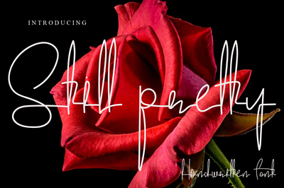 Still Pretty Font calligraphy font classy font display font elegant font fashion font feminine font valentine