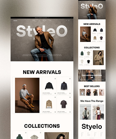 Styleo branding graphic design logo ui