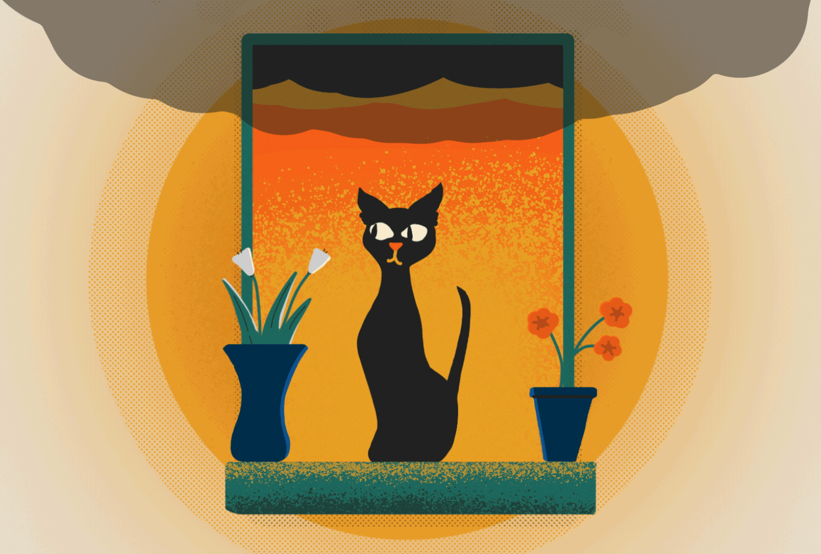 Black Cat, for Infuse 2d 2d animation animation cat motion motion graphics plants window
