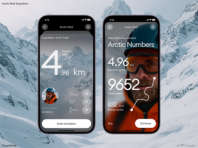 Arctic Peak concept interface minimal ui mobile app product design ui ui design visual design
