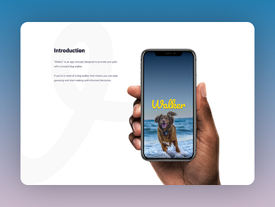 Dog Walking App - Case Study app branding design graphic design illustration logo typography ui ux vector