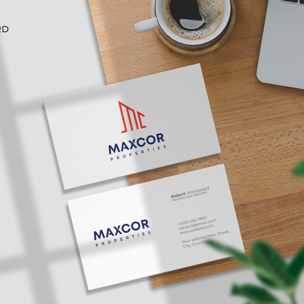 Example of Professional Custom Logo Design