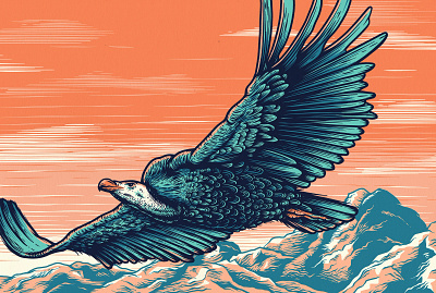 IMAGE CONCEPT FOR PETROFLY INVESTMENTS