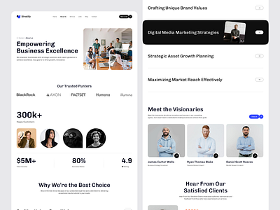 Responsive Consulting Agency Website – About Us page product ui ux web website