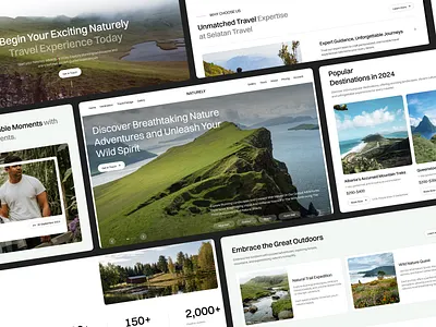 Naturely - Travel Website adventure agency agency website clean design destination hiking holiday landing page mountain travel travel agency traveling ui ui design ux vacation web web design website
