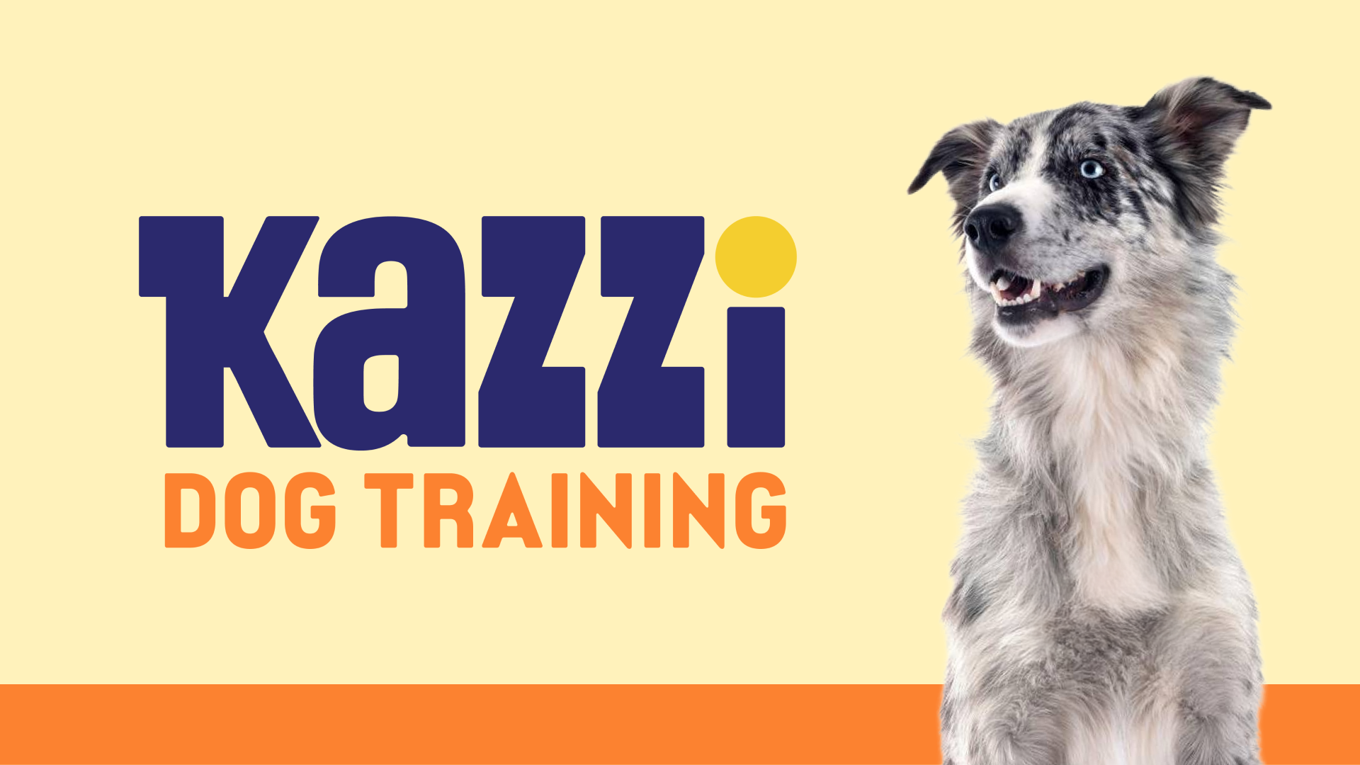 Kazzi Dog Training | Branding brand book branding design graphic design logo pattern social media design