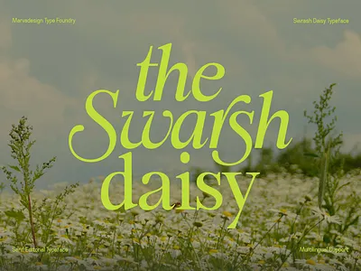 Swarsh Daisy Font beauty book brand identity branding elegant fashion font fonts headline high contrast italic jewelry luxury magazine packaging poster serif skincare typeface website