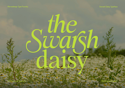 Swarsh Daisy Font beauty book brand identity branding elegant fashion font fonts headline high contrast italic jewelry luxury magazine packaging poster serif skincare typeface website