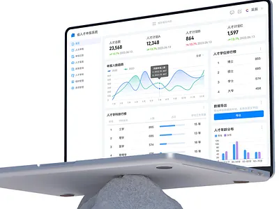 省人才申报系统 app design ux web design
