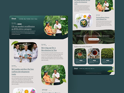 Dilmah Kindness Inspired Tea blog design kidndness landing nature sustainability tea ui