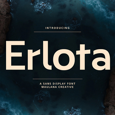 Erlota Sans Display Font animation branding design font fonts graphic design illustration logo nostalgic