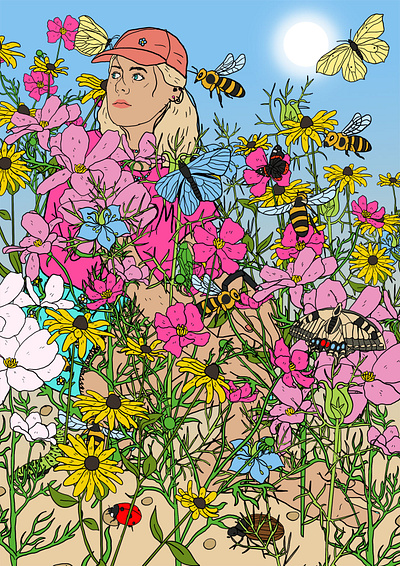summer flower meadow botanical design editorial editorial illustration illustration nature