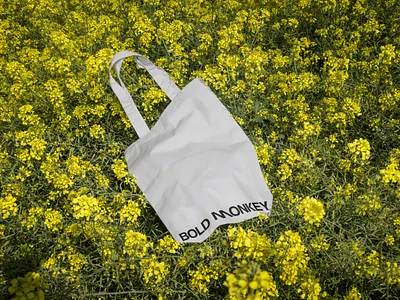 Bold Monkey - Visual Brand Identity P.III bag boldmonkey branding design facebook georgia graphic design instagram logo poster sign ui