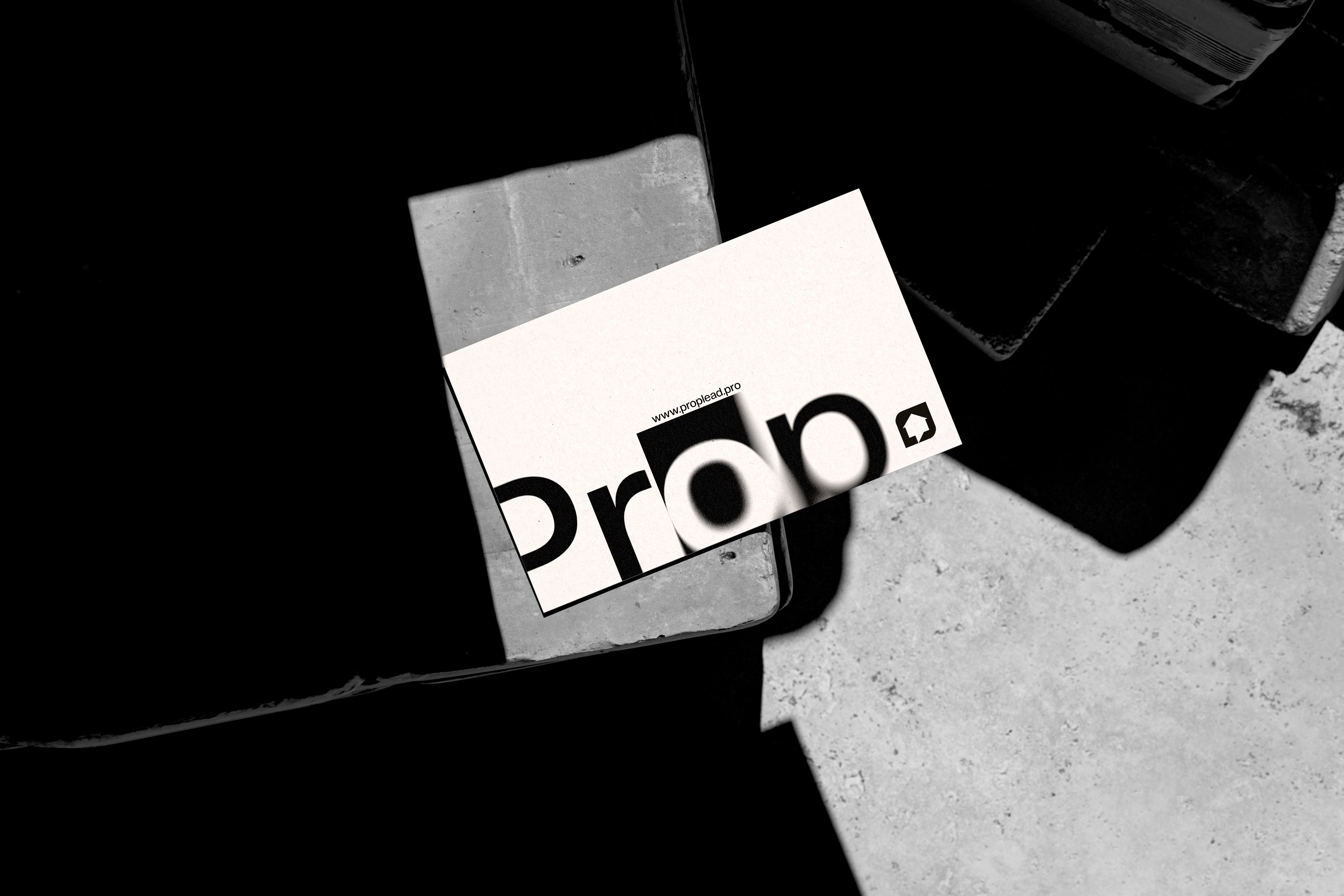 Prop Lead Pro | 06 brand branding design graphic design logo vector visual identity