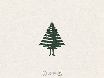 Evergreen Eye Care Pictorial Mark brand design brand identity branding branding design evergreen forest hand drawn identity design illustration illustrator logo logo design logo mark nature tree trunk vintage visual identity wood woods