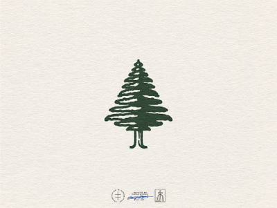 Evergreen Eye Care Pictorial Mark brand design brand identity branding branding design evergreen forest hand drawn identity design illustration illustrator logo logo design logo mark nature tree trunk vintage visual identity wood woods