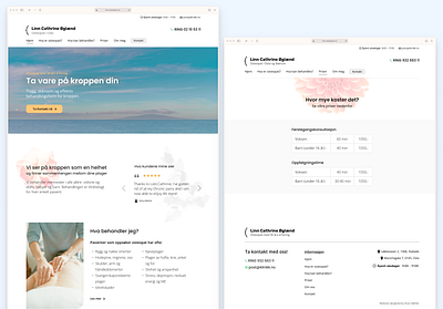 Osteopath Web Design Project graphic design ui