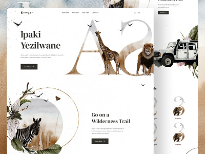 Experience the African Safari africa agency animals clean design figma giraffe homepage landing page lion park safari ui ux web web design website